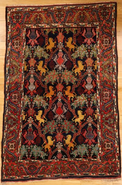 Bidjar rug (163)
