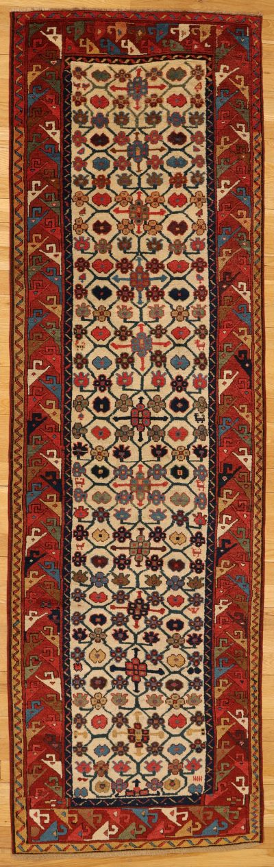 Transcaucasian runner (165)